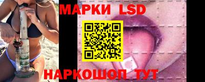 гидра Ставрополь