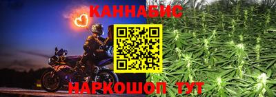 гидра Ставрополь