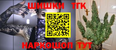 гидра Ставрополь