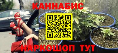 гидра Ставрополь