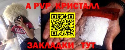 гидра Ставрополь