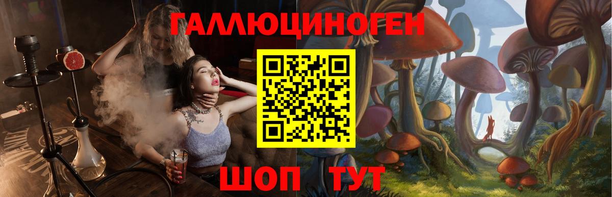 Галлюциногенные грибы Psilocybine cubensis Усть-Джегута